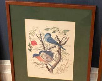 Floral/Animal Framed Wall Art