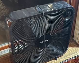 Fan