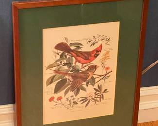 Floral/Animal Framed Wall Art