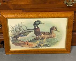 Duck Framed Artwork