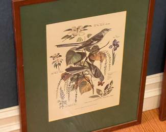 Floral/Animal Framed Wall Art