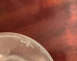 Waterford Crystal Goblet