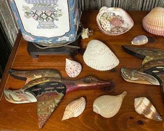 Large Collection Of Genuine Seashells & Other Specimens