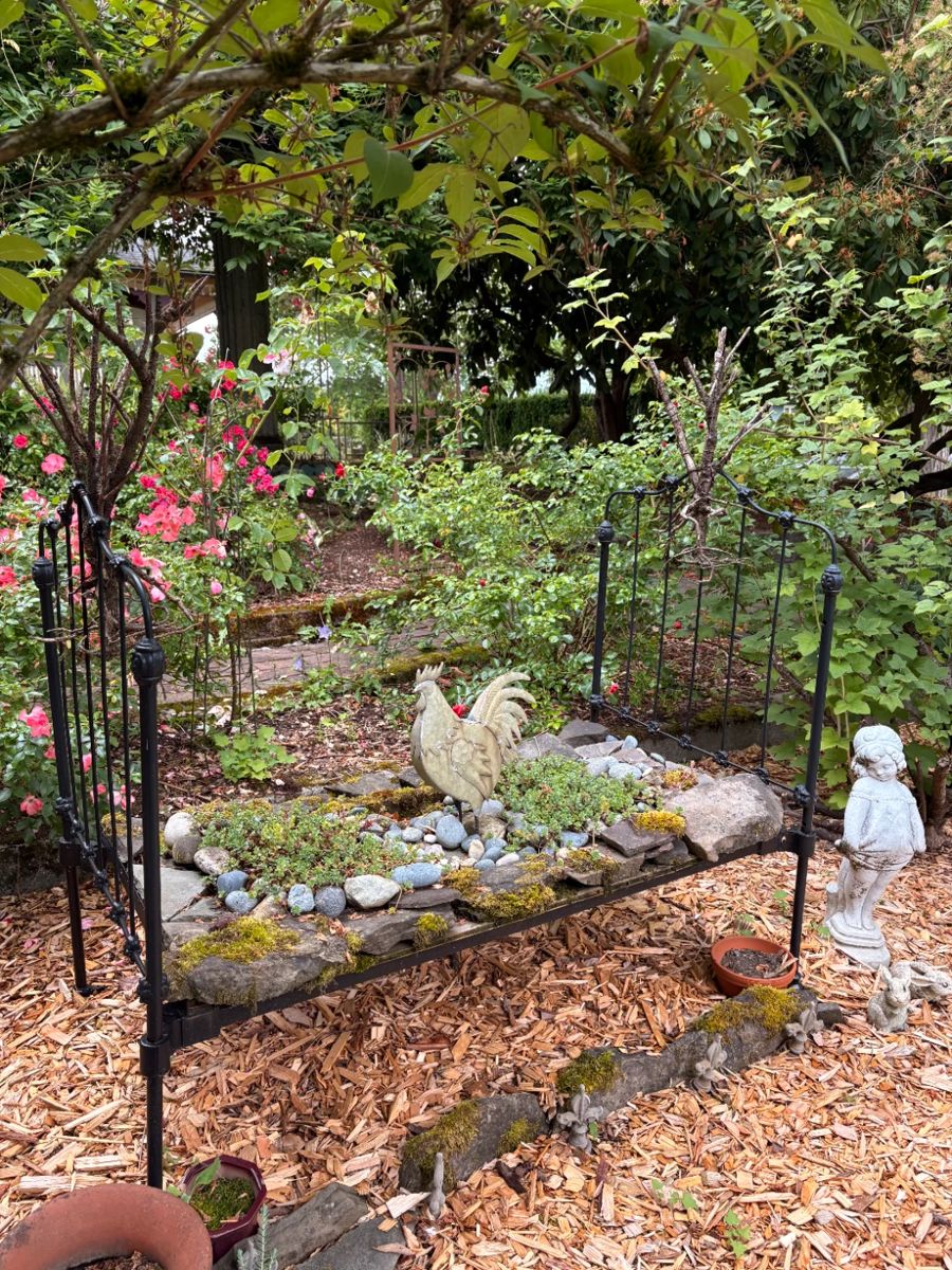 Wrought Iron Antique Toddler Bed with Succulents and Rockscaping