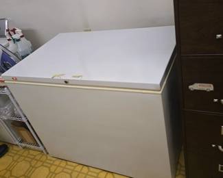 working deep freezer 