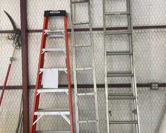 Several ladders to choose from