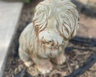 Concrete Garden Shih Tzu pup