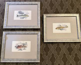 A History of the Fishes of the British Islands Lithographs by Jonathan Couch – 1894 Gurnard Soldierfish, 1877 Gurnard Scorpionfish, 1877 Dusky Sculpin