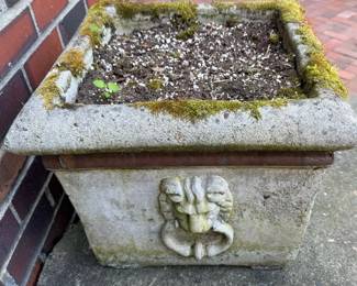 Square Cast Stone Planter with Lion Motif