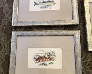 A History of the Fishes of the British Islands Lithographs by Jonathan Couch – 1894 Gurnard Soldierfish, 1877 Gurnard Scorpionfish, 1877 Dusky Sculpin