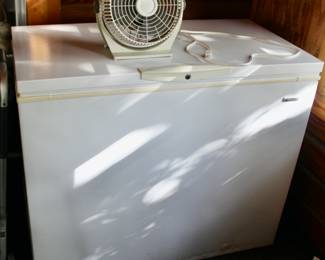 Great Freezer working condition. 
