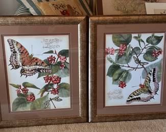 framed botanical art