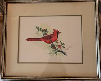 GREER watercolor cardinal