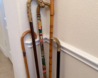 Unique canes