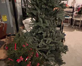 Christmas Trees 