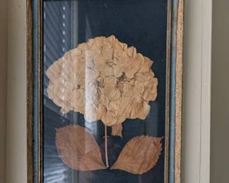 Item #273 Framed Dried Hydrangea, c. 1930s