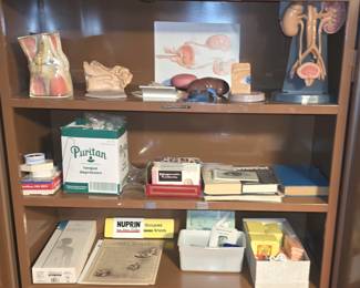 VINTAGE DRUG COMPANY ANATOMIC MODELS