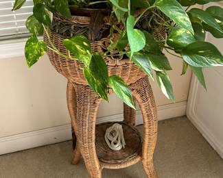 Sun porch planter.
