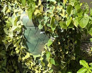 150 LP tanks , 2 available. 