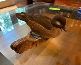 Hand carved & signed
Female bufflehead