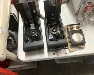 Vintage camara & an owl radio