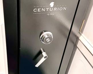 Tall Gun safe 