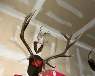 Mounted racks