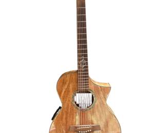 Ibanez Acoustic Electric Guitar and Case