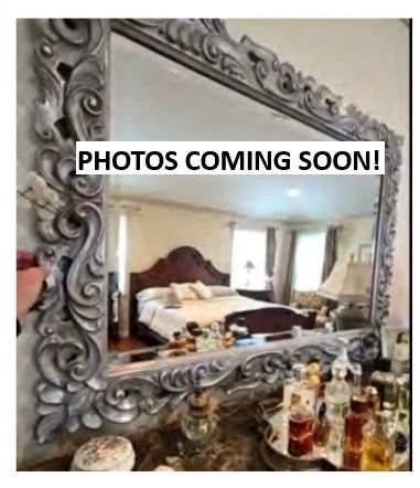 coming soon fuschetti