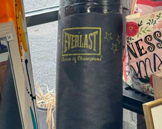 Heavy duty boxing punching bag.