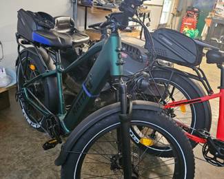 $875 Pre Sale Item - See Sale Description for purchase details. Ladies Rattan Pathfinder Electric Bike Pic 2 of 3