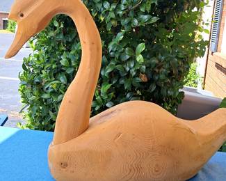 WOOD SWAN