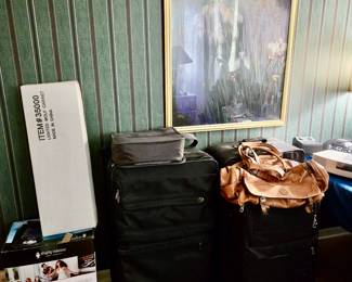 Vibe Karaoke Singing Machine; Suit Cases / Luggage / Overnight Bags; Wall Art and more.