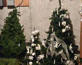 Christmas Trees ready to go!