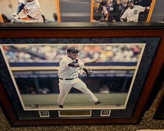 Detroit Tigers