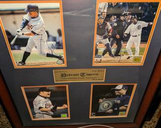 Detroit Tigers