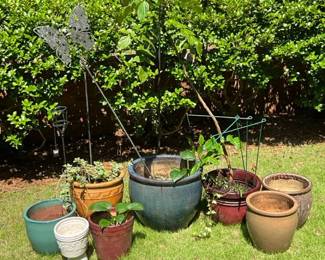 Pots, Plants, And More