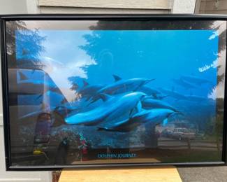 71 DolphinJourneyFramedPrint