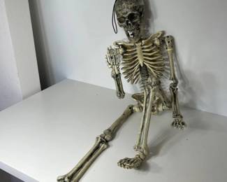 131 HangingSkeletonDecoration