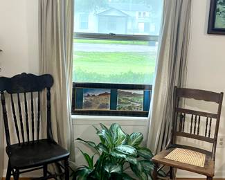 ANTIQUE CHAIRS, PLANTS