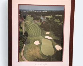 Robert D Johns Birds Eye View International Country Club print