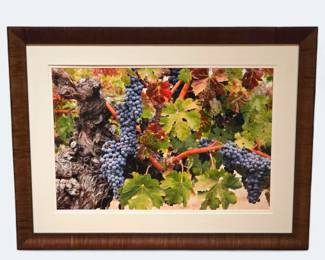 Large 49x37 Napa Valley Print
