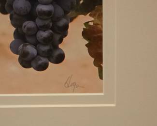 Large 49x37 Napa Valley Print