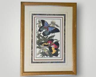 Bright and Beautiful Butterfly Print