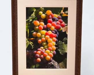 Large 42x32 Napa Valley Print