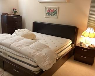King bed and Mattress Set