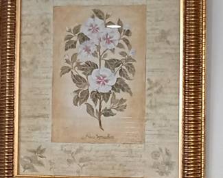 Alcea Singaflore
Genequinetta
20x24
15.00
#6