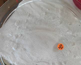 Pyrex
5.00