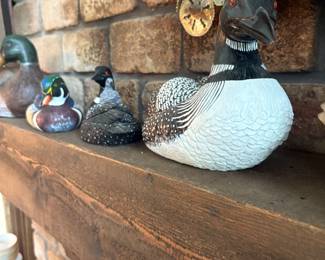 Large Duck collection 