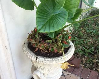 Stone Cast Planters $75